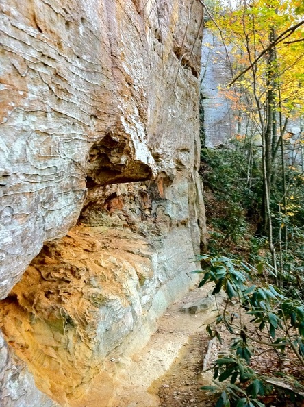 Natural Bridge State Park 11.jpg